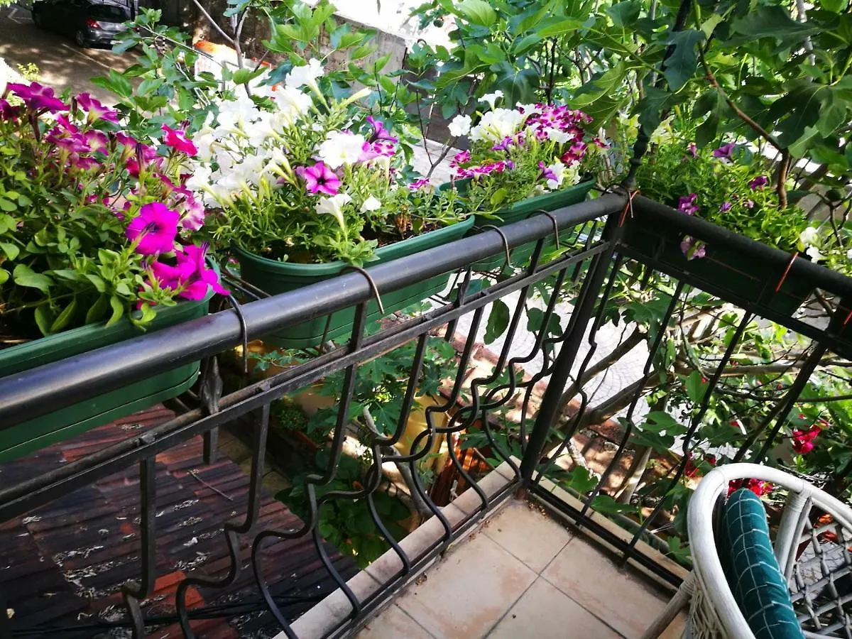 Hotel Paradise Sofia Bulgarien